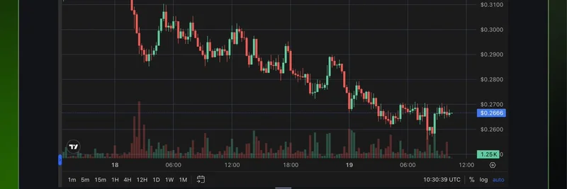 $USELESS 表情包币鲸鱼活动：2025 年 8 月价格下跌分析