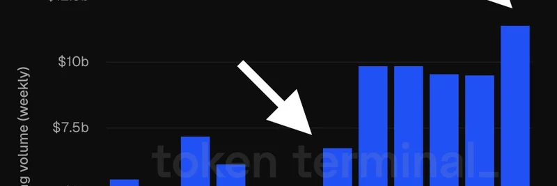 BaseのDEX取引量が過去1ヶ月で100%急増：ミームトークンへの影響