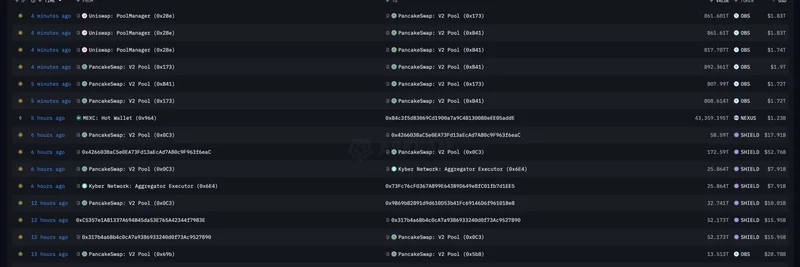 Exposed: Fake Volume on BNB Chain Using ORB and SHIELD Tokens – Implications for Meme Traders