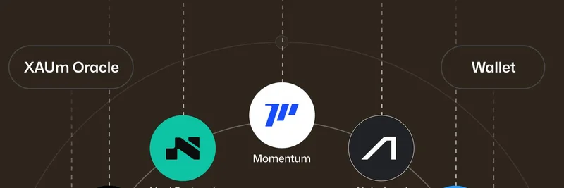Sui Foundation Allocates to XAUm: Tokenized Gold Launches on Sui Network Boosting DeFi Liquidity