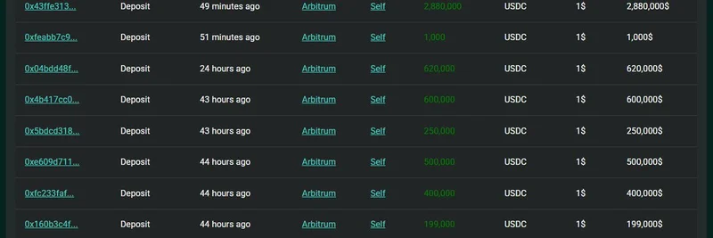 암호화폐 고래, HyperLiquid에 $5.45M USDC 예치 — HYPE·ETH·BTC 레버리지 롱 오픈