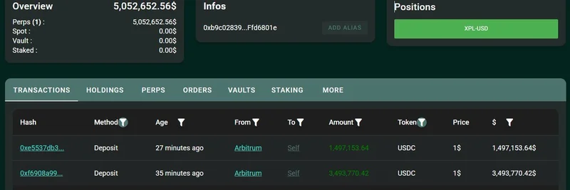 Crypto Whale Deposits $5M USDC on Hyperliquid, Opens 3x Leveraged XPL Long Position