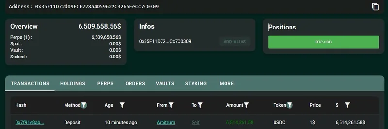 Crypto Whale Deposits $6.5M USDC into HyperLiquid, Opens 20x Leveraged BTC Long Position