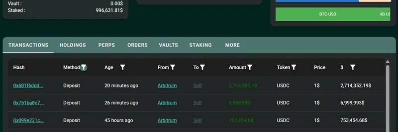 鲸鱼向 Hyperliquid 存入 1500 万美元 USDC，开多 BTC 与 BNB，并盯上 FARTCOIN meme 代币