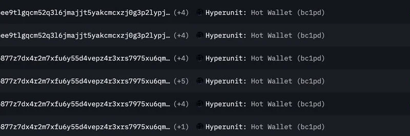 比特币巨鲸通过 Hyperunit 向 Hyperliquid 转移 8,000 BTC：对 Meme 代币的潜在影响