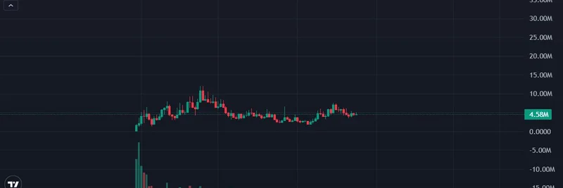 $KITTY：缓慢酝酿的猫咪梗币，准备主宰2025年