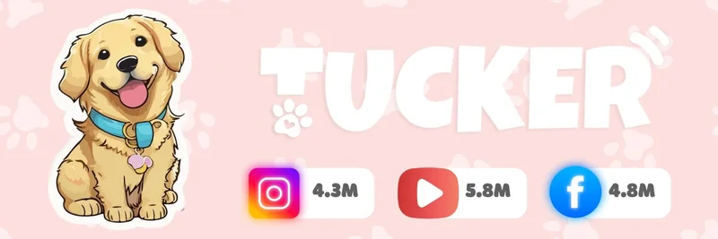 BNB Chain 上的 TUCKER (BEP-20)：关于合约 0xbf889ea7f698fbf9f35e6c05f7536c228426d1be 的已知信息