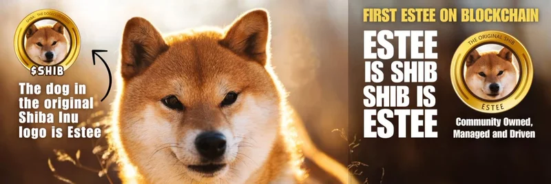 ESTEE Token: Ethereum Meme Coin With Shiba Inu Roots — And a BNB Chain Discrepancy Explained