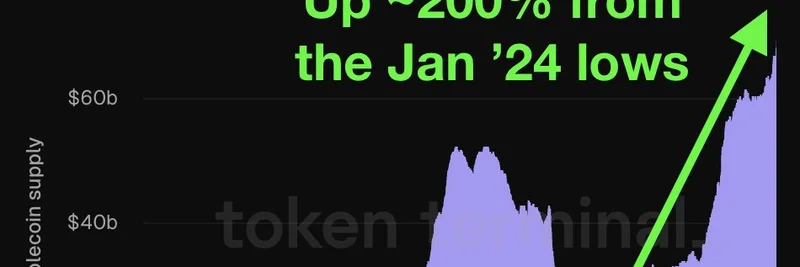 Circle's USDC Supply Surges 200% in 2024: What It Means for Meme Tokens