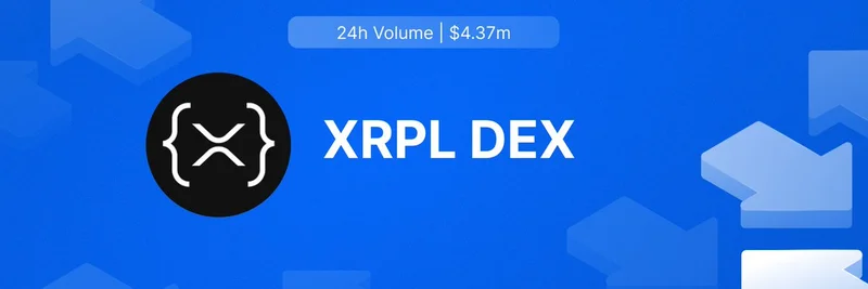 DefiLlama 现已追踪 XRPL DEX：为 XRP Ledger 上的 Meme 代币带来变革