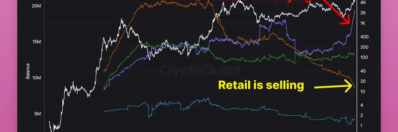 以太坊鲸鱼在散户抛售时囤积 ETH：这对 meme 币意味着什么