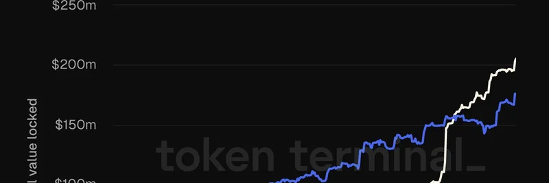 Spiko Finance 在 Arbitrum 和 Polygon 上 TVL 激增：加密爱好者的关键洞察