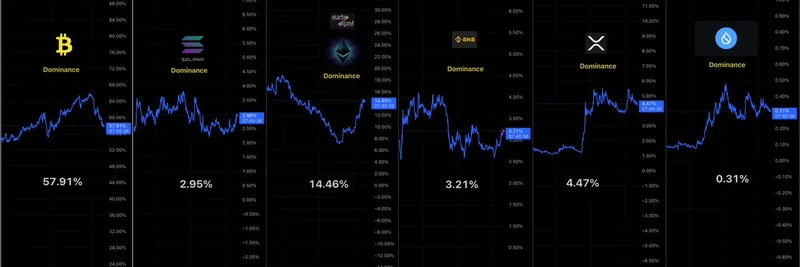 Crypto Dominance Dashboard：8月31日時点の主要な洞察とミームトークンへの影響