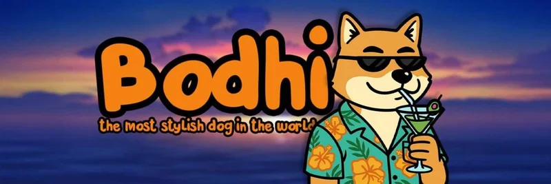 BNB Chain 上的 BODHI：研究、风险及如何核实 0x1570b8d622ebde9209e1b394a3c08e8eb6e99705 代币
