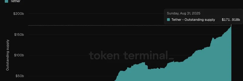 泰达（Tether）在外供应量突破1700亿美元：对加密和迷因代币的影响