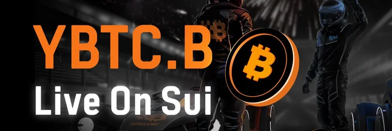 YBTC.B Launches on Sui: Boosting BTC Liquidity in DeFi