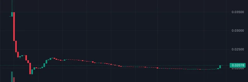 $CARDS 代币：在 400 万美元市值（MCAP）下被低估的抢购？来自加密投资人 ML 的见解