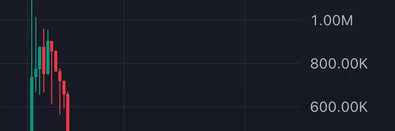 $KOOKED Meme Token Collapse: Was KookCapital Hacked or Is It a Scam?