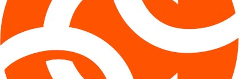 2025 全球加密货币采用指数：印度居首，美国位列第二 — 对迷因代币的影响