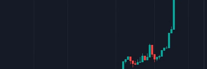밈코인의 진짜 효용: 암호화폐 도박을 이끄는 도파민 러시