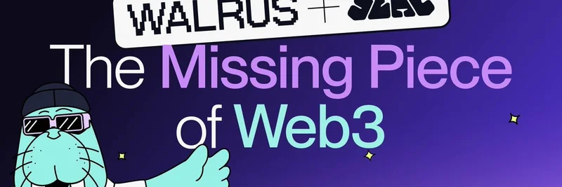 Sui 的 Seal 发布：为 Meme Token 和 Web3 构建者革新隐私