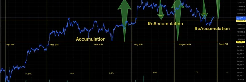 비트코인 Wyckoff 패턴이 가리키는 다음 움직임: 밈 코인에 대한 시사점