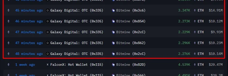 Bitmine Accumulates $65M in ETH, Boosting Holdings to $8.39B