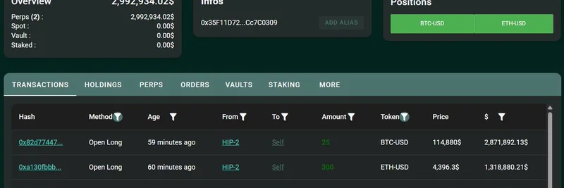 加密鲸鱼向 HyperLiquid 存入 300 万 USDC，并在 BTC 与 ETH 上开出 20x 多头