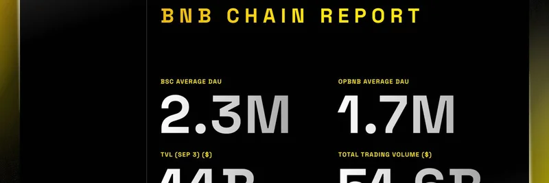BNB Chain 周报：DAU、交易次数与交易量显著增长（8月28日 - 9月3日）