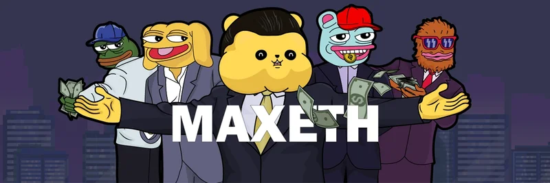 MaxETH (MAXETH) 代币在以太坊上的概览：价格、代币经济学、交易所与安全指南