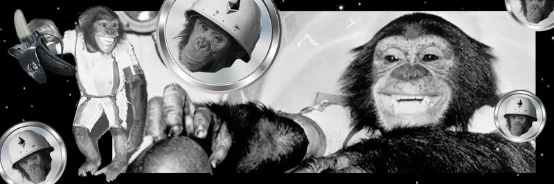 BNB Chain 上的 CHIMP 代币：深入解析合约 0x519d93a3cc5e8d4ef173f0ae2bfc0f26fad28dae、CHIMPX AI 背景与 DYOR 指南