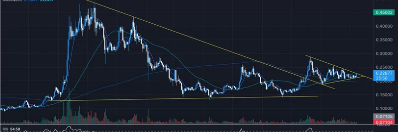 도지코인 ETF 출시 임박: $DOGE 차트가 큰 움직임을 암시