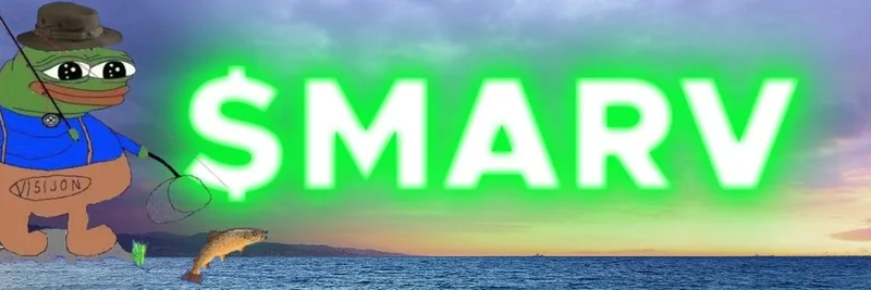 Base 上的 MARV：关于 0xf1a245691e45a416fedf0c1a75b0ba45c447b62c 的已知与未知