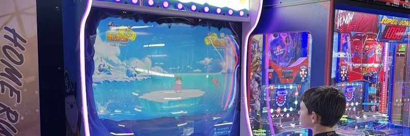 Pudgy Penguinsがメインストリームへ：NFTからアーケードゲームや玩具まで—Luca Netzのビジョンが実現