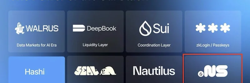 SuiNS Staking Launch: Empowering Governance in the Sui Meme Token Ecosystem