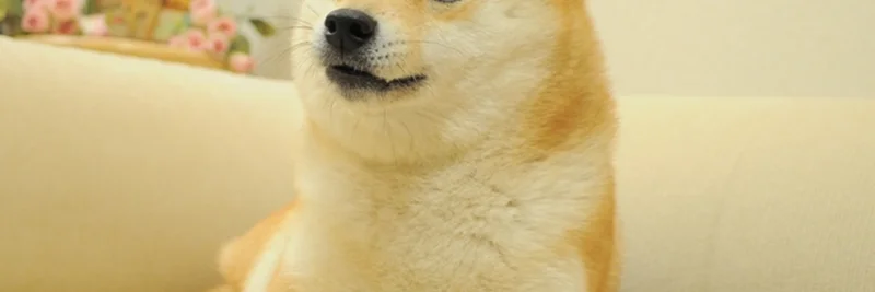 DogeのIP所有の革命：Cryptopathicの最新ツイートが語る$DOGトークンの洞察