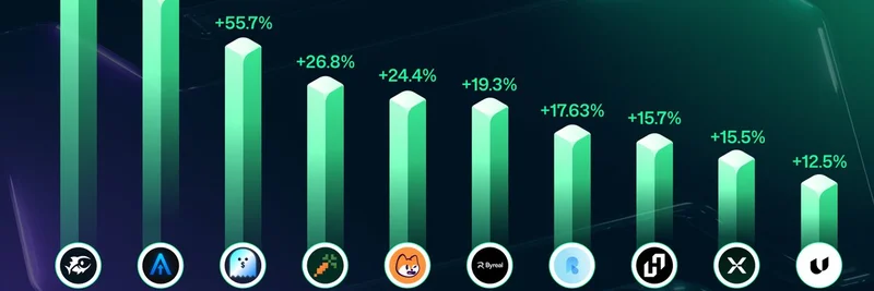 솔라나 DeFi TVL 사상 최고치 경신: 2025년 급등하는 톱 10 프로토콜