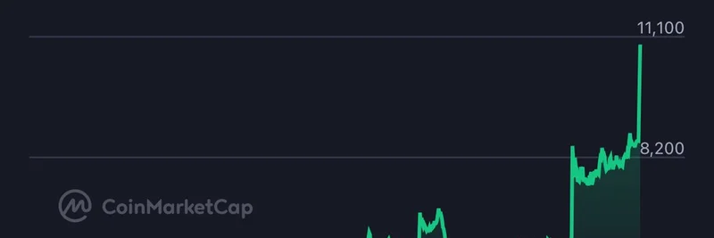 为什么 $IP 代币在暴涨？解读 Story Protocol 的巨大飙升