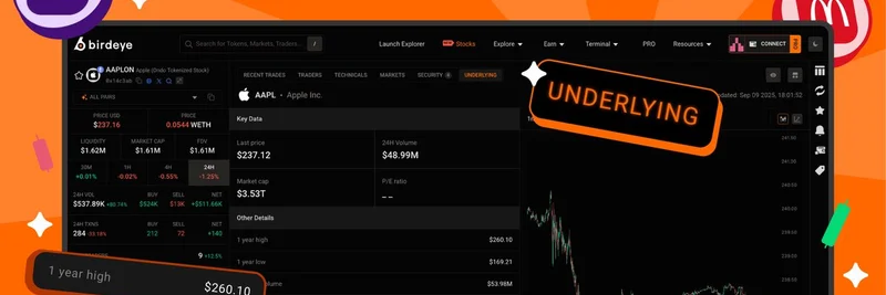 Birdeye, 토큰화 자산용 'Underlying' 탭과 'Ondo Finance' 태그 공개