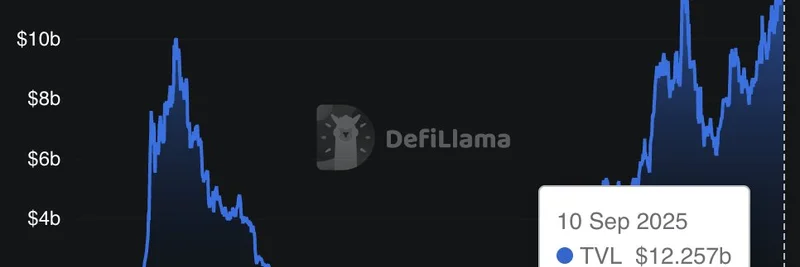 Solana 的 DeFi 资本效率胜过 TVL：给 Meme 代币交易者的洞见