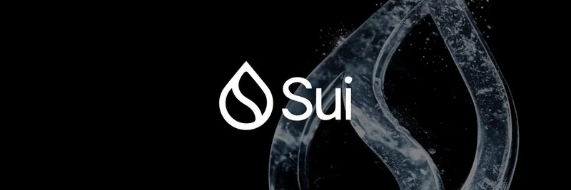 Sui 区块链的不可分叉网络栈：FP Validated 的看涨论点解析