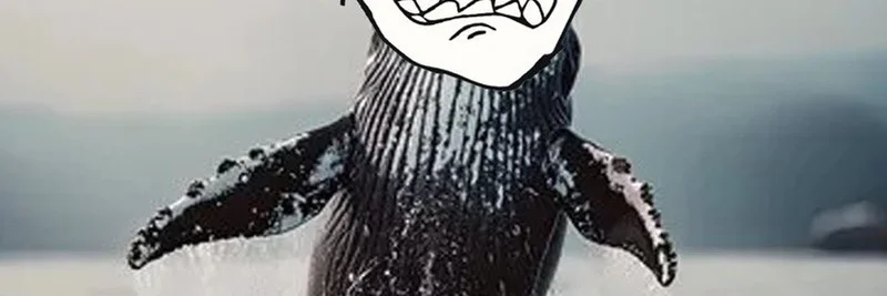 Moby Agent 的 Live Whale Watch 集成革新了实时 Meme 代币交易