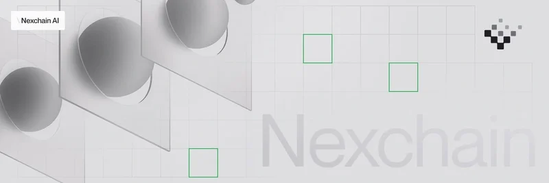 BNB Chain上のNEX：Nexchain対NexulonAI、ユーティリティ、トークノミクス、リスク
