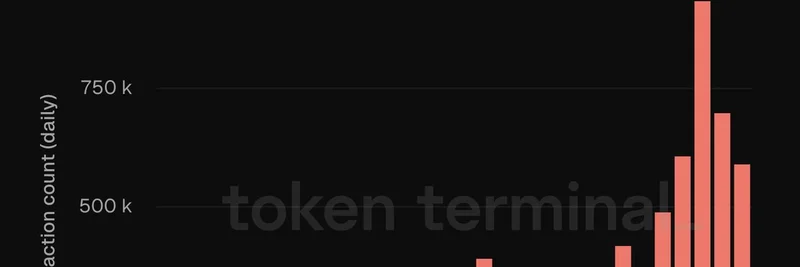 Starknet 链上活跃度暴增 300%：对 Meme 代币的意义