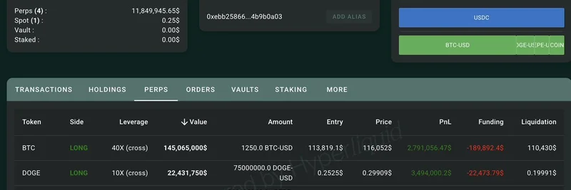 암호화폐 고래, BTC·DOGE·kPEPE·FARTCOIN에서 900만 달러 이상의 미실현 이익 기록