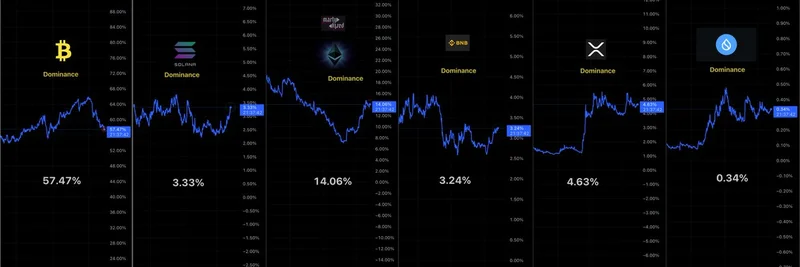 Crypto Market Dominance Dashboard September 2025: Implications for Meme Tokens