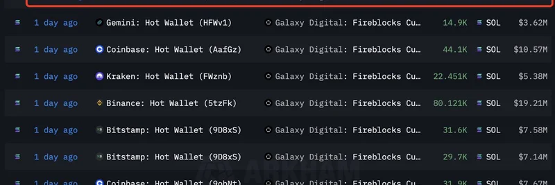 Galaxy Digitalが$1.24B相当のSOLを大量購入：Solanaの未来に対する機関の賭け