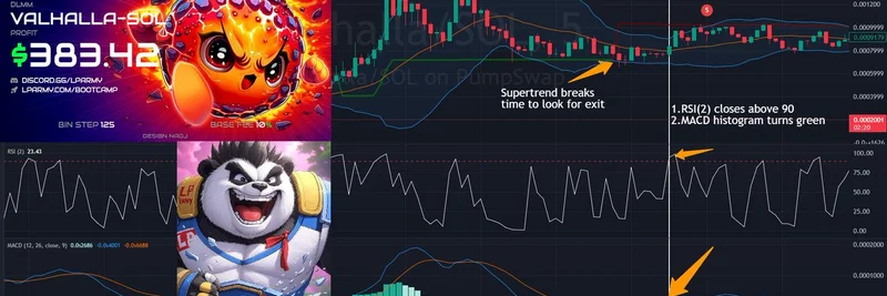 DLMM Exit Strategy: Real-World Example on Valhalla Meme Coin Yielding 383% Profits on Solana