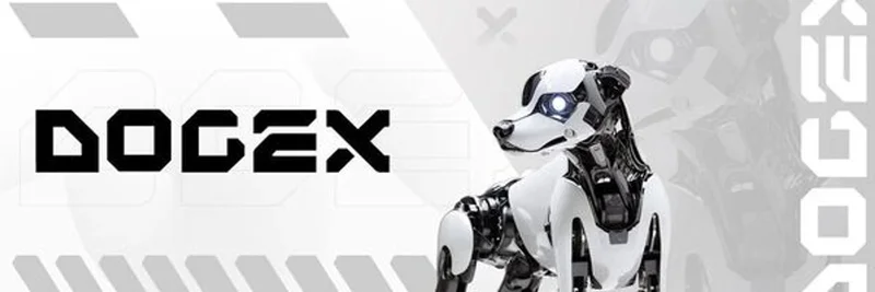 DogeX on BNB Chain: Due Diligence on Contract 0xad246a9d30d3a467acc1ec7d0400a481a9faadeb