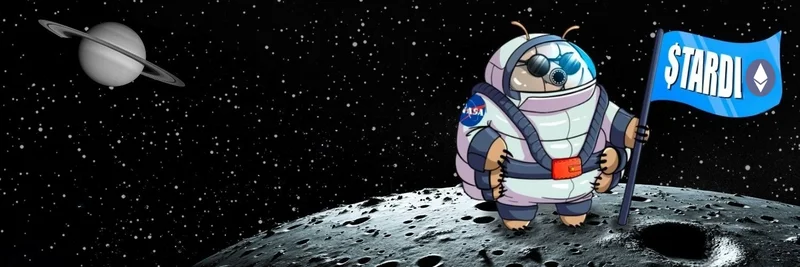 Tardi (TARDI) Guide: Sui Meme Token, BNB Address, How to Buy and Risks